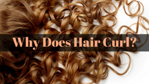 why does hair curl?